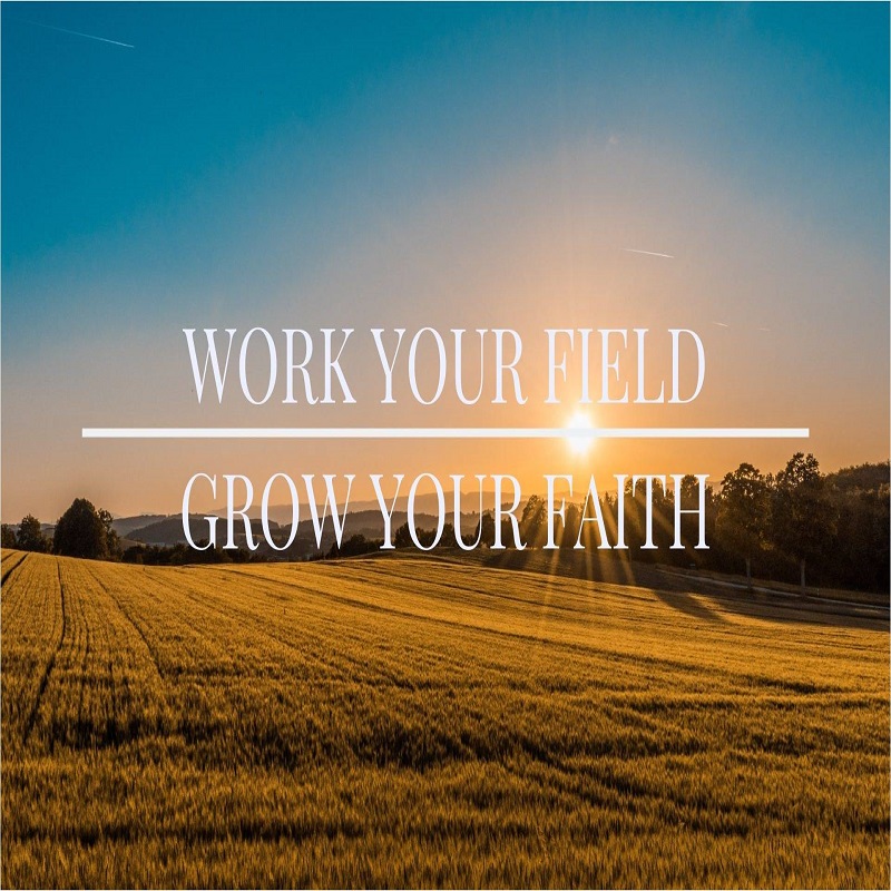 Work Your Field - Grow Your Faith