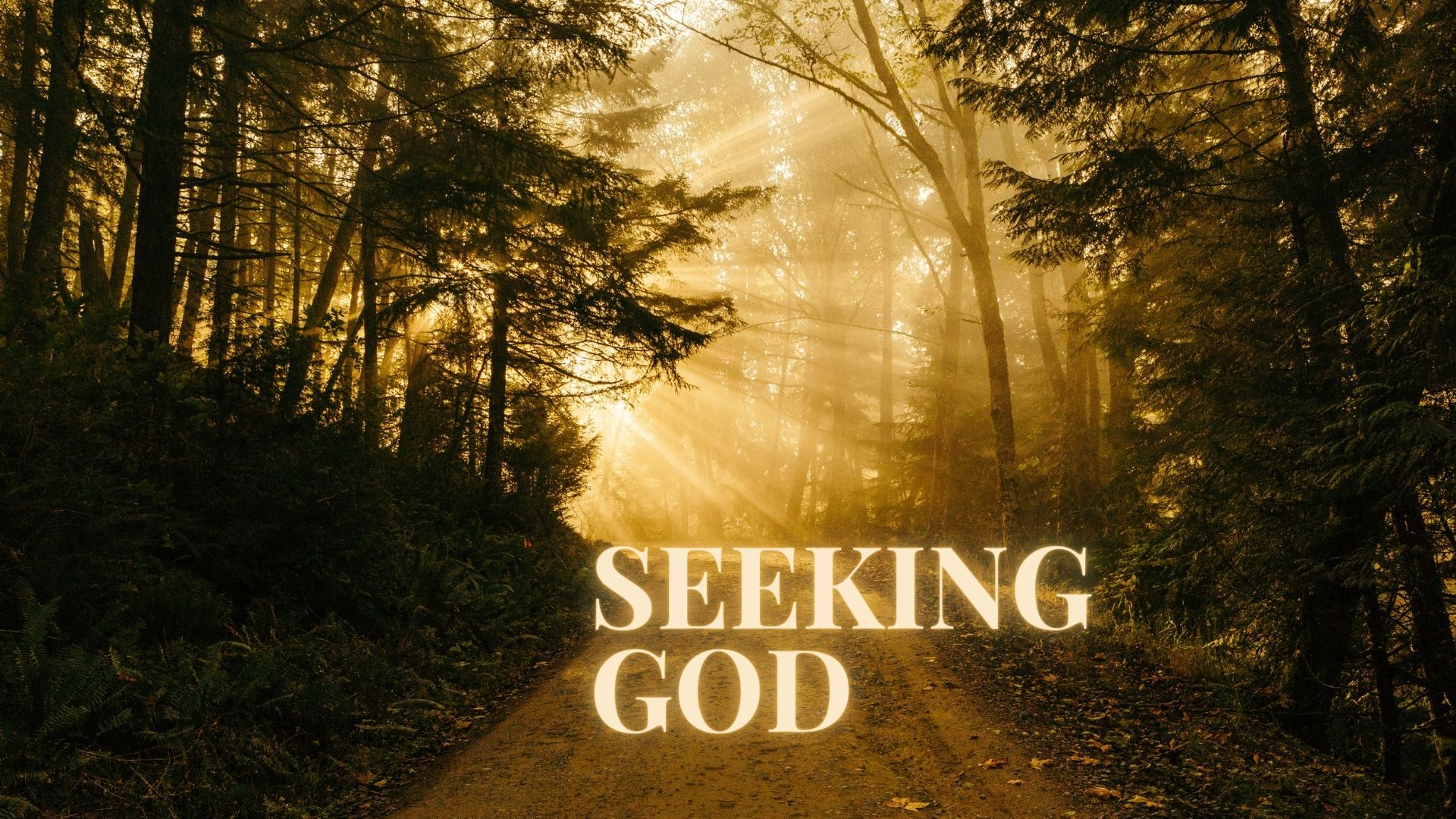 Seeking God